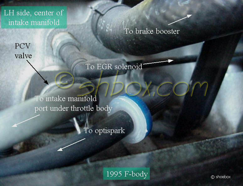 1992 - 1995 Corvette Fuel Purge Solenoid valve to Throttle Body Vacuum Hose  (LT1 Engine)